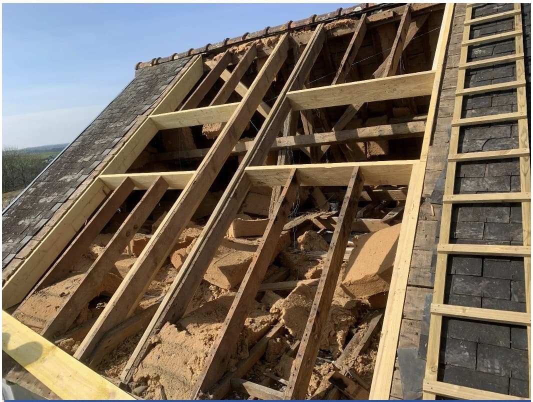 Velux et verrières après travaux vue 1