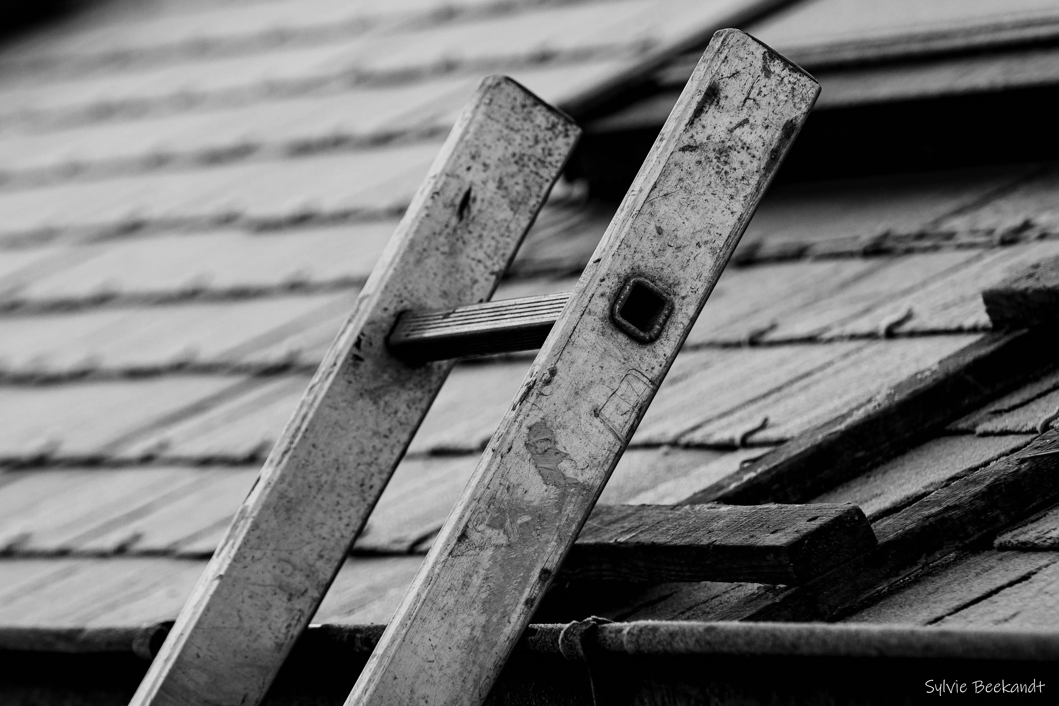 Rénovation toiture par La Mignonne Couverture